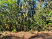 Terreno en Venta en Sant Celoni