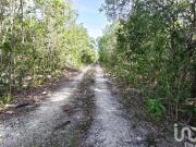 Terreno en Venta en Santa Ana, Cancún, 1000 m2, Bonfil,... Terreno en Venta en Santa Ana, Cancún, 1000 m2, Bonfil,...