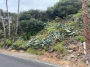 Terreno en venta en Santa Brígida