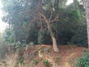 Terreno en venta en Santa Cristina D&apos aro