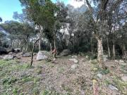 Terreno en Venta en Santa Cristina d'Aro