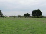 TERRENO EN VENTA EN SANTA MARIA TEQUEPEXPAN