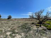 Terreno en Venta en Santa Pola