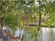 Terreno en venta en Santa Rita Puerta de Santa Rita, San...