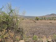 TERRENO EN VENTA EN SANTA ROSA DE JAUREGUI, QUERETARO