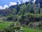 Terreno en Venta en Santa Rosa Xochiac