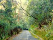 Terreno en venta en Santa Rosa Xochiac, Álvaro Obregón,...