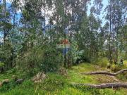 Terreno en Venta en Santa Teresa Pintag