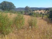 Terreno en venta en Santiago De Alcántara