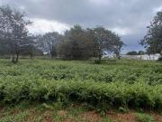 Terreno en Venta en Santiago de Compostela