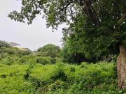 Terreno en venta en Santiago Tepetlapa, Tepoztlán, Morelos