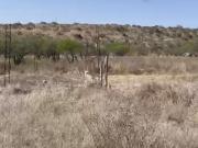 Terreno en venta en Santiago Zimapan