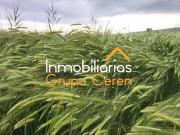 Terreno en Venta en Santo Domingo de La Calzada