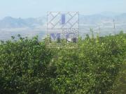 Terreno en venta en Santomera