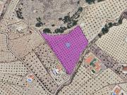 Terreno en Venta en Sax