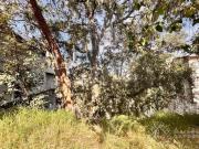 Terreno en venta en Sayavedra
