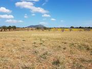 Terreno en Venta en Sencelles