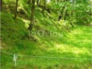 Terreno en Venta en Seva