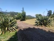 Terreno en Venta en Siero