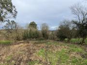 Terreno en Venta en Siero