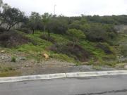 Terreno en Venta en Sierra Alta 9no Sector
