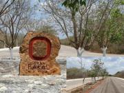 Terreno en Venta en Sierra Papacal, Mérida MY 25 65