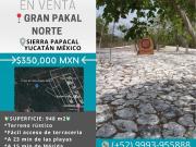 TERRENO EN VENTA EN SIERRA PAPKAL AL NORTE DE MERIDA YUCATAN