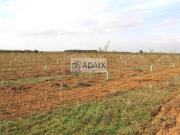 Terreno en Venta en Socuéllamos