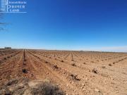 Terreno en Venta en Socuéllamos