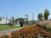 TERRENO EN VENTA EN SOLARES TERRENO EN VENTA EN SOLARES