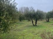 Terreno en Venta en Sotillo de La Adrada