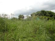 Terreno en venta en Sotogrande, Sotogrande Alto