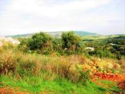 Terreno en venta en Sotogrande, Sotogrande Alto