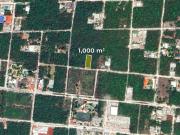 Terreno en venta en Supermanzana 313, Benito Juárez,...