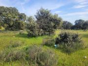 Terreno en Venta en Talavera de la Reina