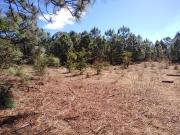 Terreno en Venta, Tapalpa Centro, Tapalpa, Jalisco