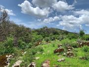 Terreno en venta en Tapalpa, Jalisco