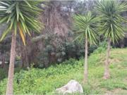 Terreno en Venta en Tarragona