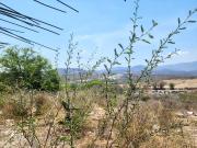 Terreno en venta en Tehuixtla, Morelos