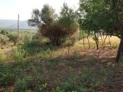 Terreno en venta en Tejeda de Tiétar, OJARANZO, 10420 Terreno en venta en Tejeda de Tiétar, OJARANZO, 10420