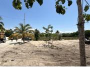 Terreno en Venta en Telchac