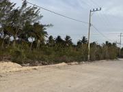 TERRENO EN VENTA EN TELCHAC PUERTO, YUCATÁN