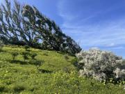 Terreno en venta en Telde