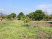 Terreno en venta en Temixco Morelos, Col. Miguel Hidalgo