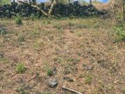 Terreno en venta en Tepoztlán