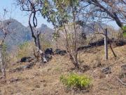 Terreno en venta en Tepoztlán Morelos, con vista panorámica