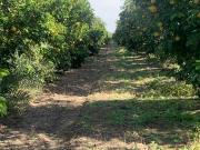 TERRENO EN VENTA EN TERAN NUEVO LEON