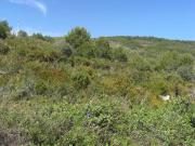 Terreno en Venta en Benitachell El Poble Nou de Benitatxell