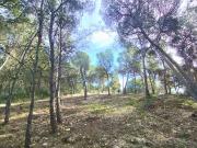 Terreno en Venta en Tibi