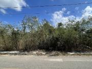 TERRENO EN VENTA EN TIXCACAL MÉRIDA YUCATÁN